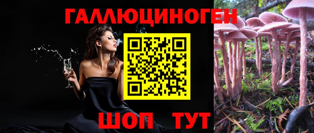 Галлюциногенные грибы GOLDEN TEACHER Новочебоксарск